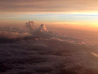 iPhone Pics